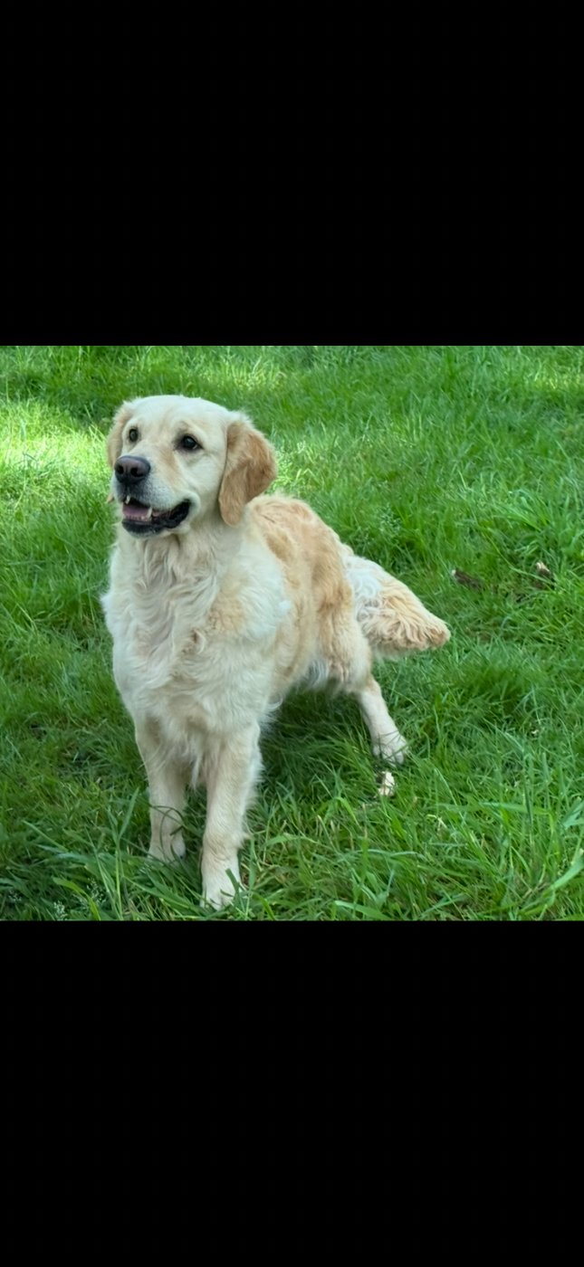Sunset du haut de la Girauderie