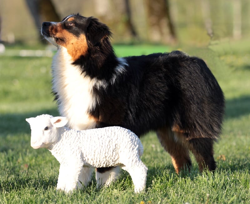 Elenwë back in black de la Troade