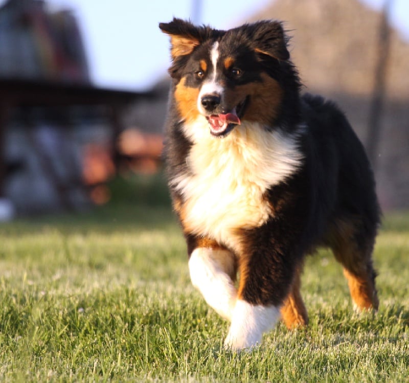 Elenwë back in black de la Troade