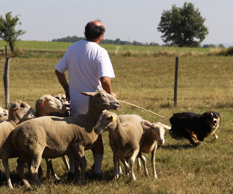 Elenwë back in black de la Troade
