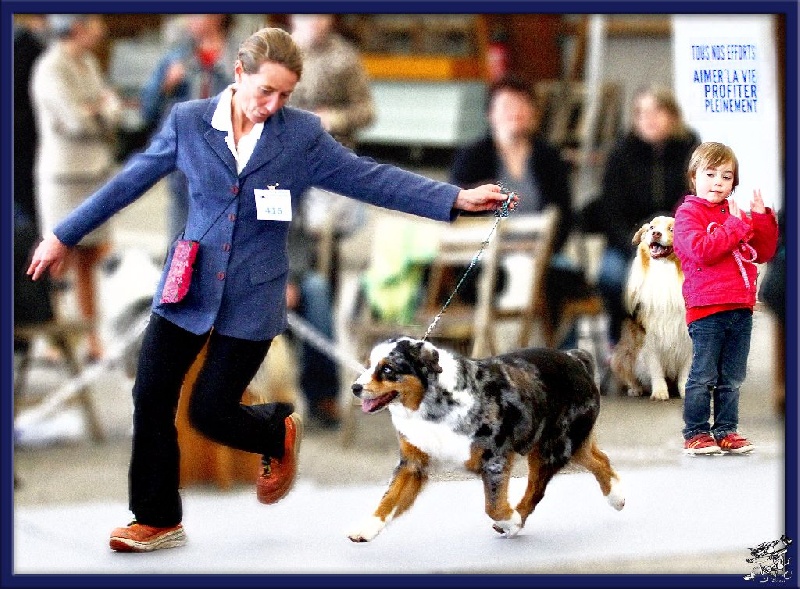 Varape de la villa Loubet - Excellent - Classe Vétéran Femelle