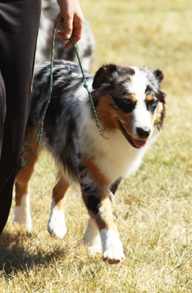 Eowyn half moon eyes de la Troade - 7ème Excellent