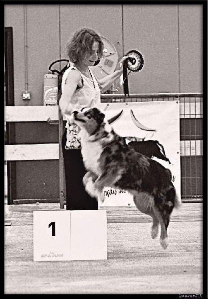 Varape de la villa Loubet - 1ère Excellent en Classe Vétéran Femelles