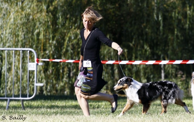 Eowyn half moon eyes de la Troade - 3ème Excellent