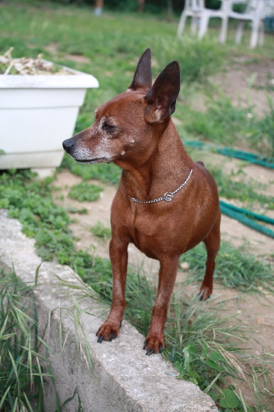 Publication : (Sans Affixe)