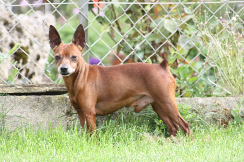 Publication : (Sans Affixe)