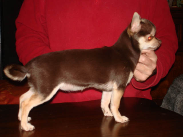 Publication : du Moulin de Kerliviry Auteur : Cindy Rutter Hudson