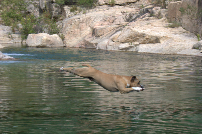 Publication : of staff island Auteur : nicolas gouin