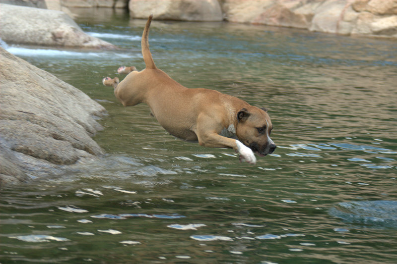 Publication : of staff island Auteur : nicolas gouin