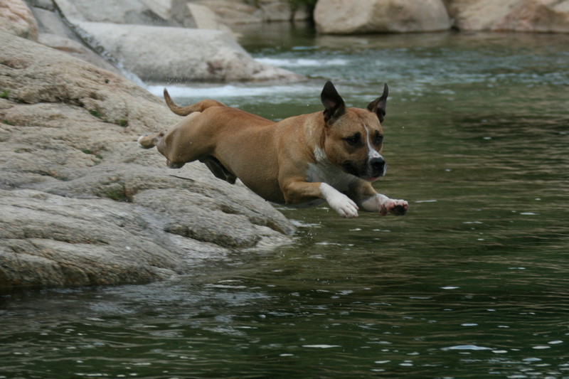 Publication : of staff island Auteur : nicolas gouin