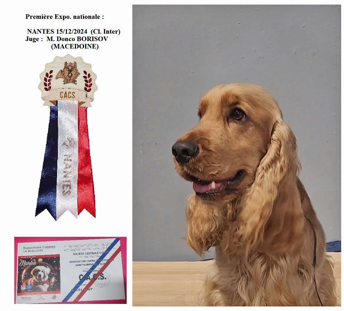 UCKY de Lann-er-Marh