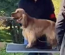 UCKY de Lann-er-Marh