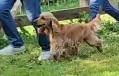 UCKY de Lann-er-Marh