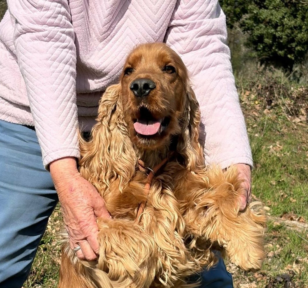 UCKY de Lann-er-Marh