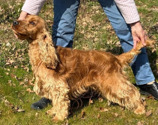 UCKY de Lann-er-Marh