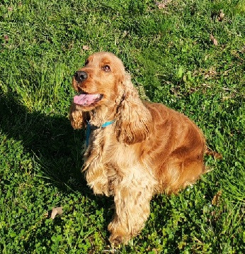 UCKY de Lann-er-Marh