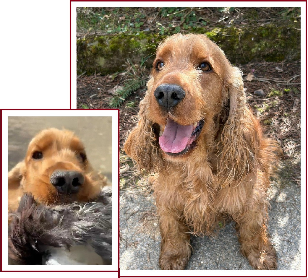 UCKY de Lann-er-Marh