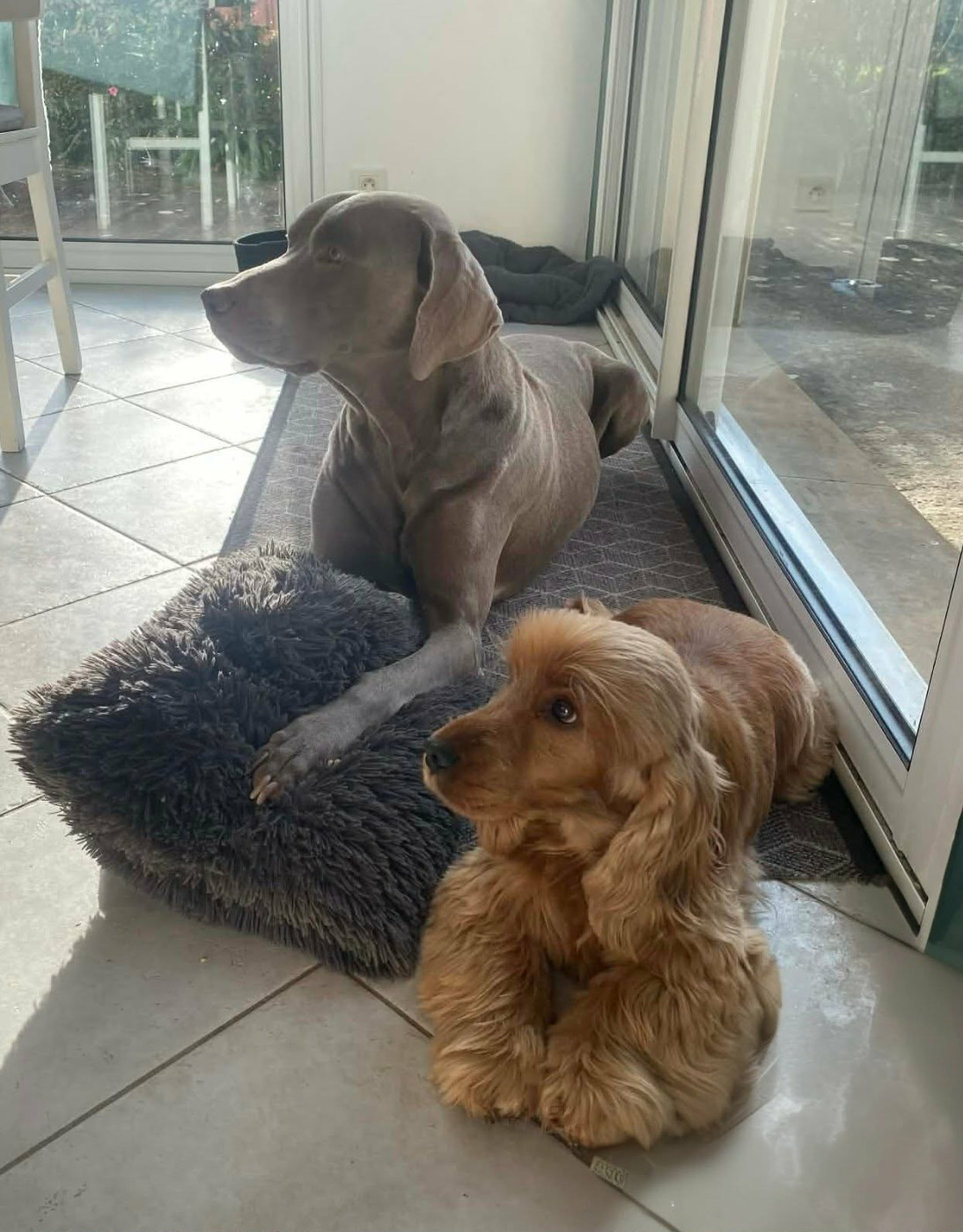 Ublime de Lann-er-Marh