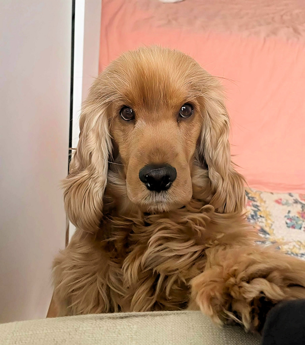 Ublime de Lann-er-Marh