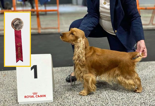 TR. Sélina de Lann-er-Marh - 1er Exc (Cl Travail)