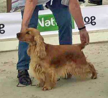 TR. Sélina de Lann-er-Marh - 3ème Excel. (cl. ouverte)