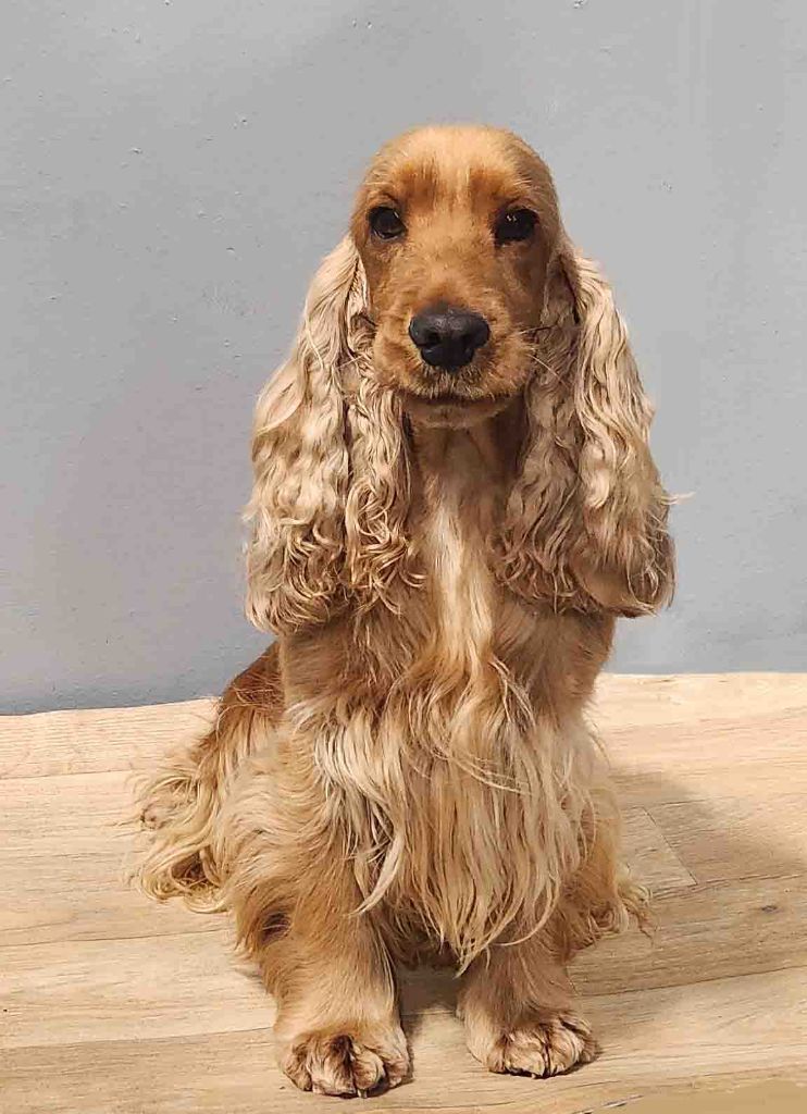 TR. Sélina de Lann-er-Marh - C.S.A.U.