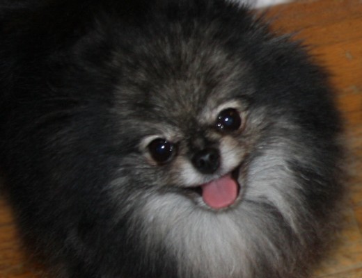 Publication : Follow me