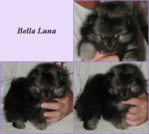 Publication : Follow me