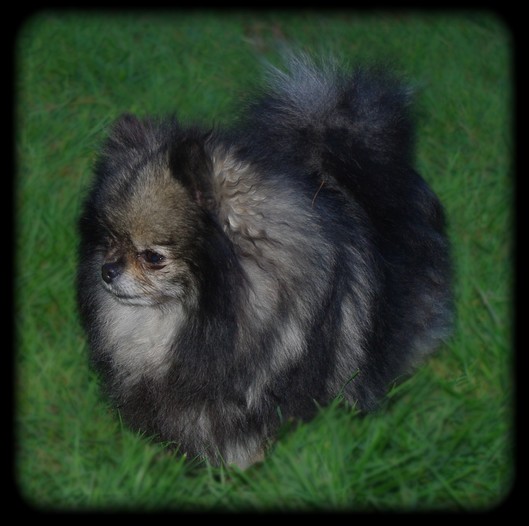 Publication : Follow me