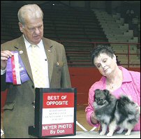 Publication : Follow me