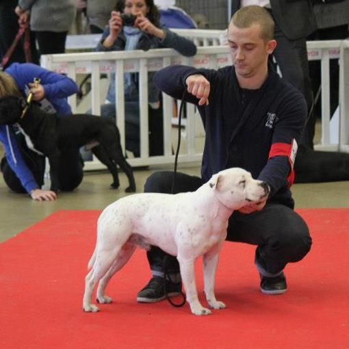 Publication : Of deleans Auteur : julien fontaine