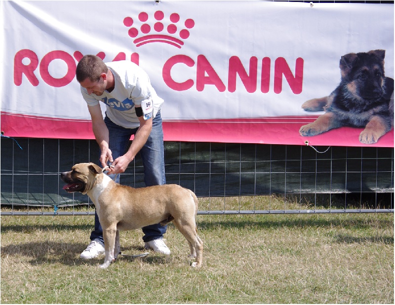 Eight ball de Paco Original's Staff