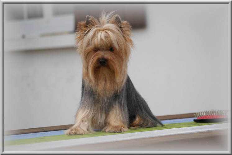 Publication : (Sans Affixe) Auteur : N.Lecaille