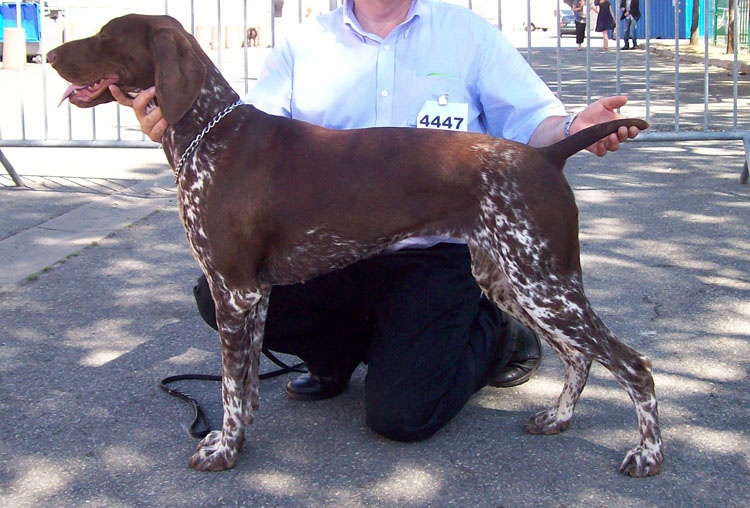 TR. CH. Etna des quatre Peupliers - 2ème Exc