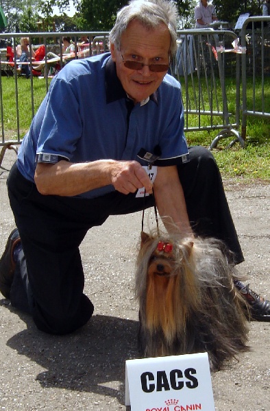 CH. Chad des Yorkies Du Canigou - 1 EXCELLENT C.A.C.S