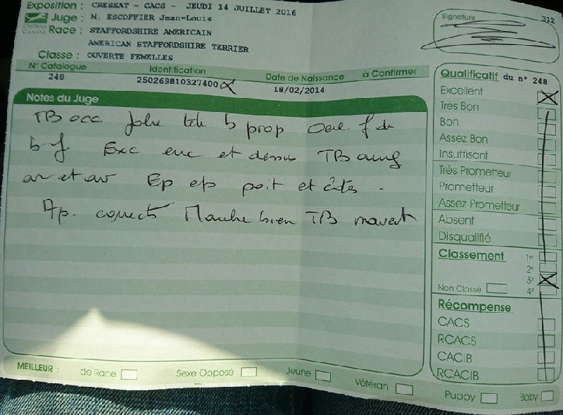 Tribal Opus Joacaba - 3ème Excellent Classe Ouverte Femelle