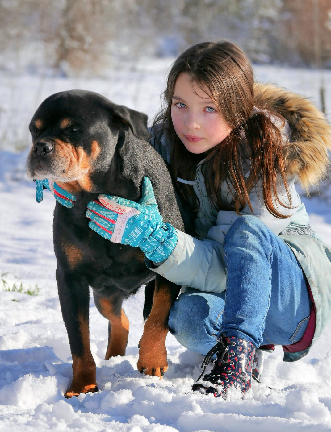 Jinseng Vom schloss maraness