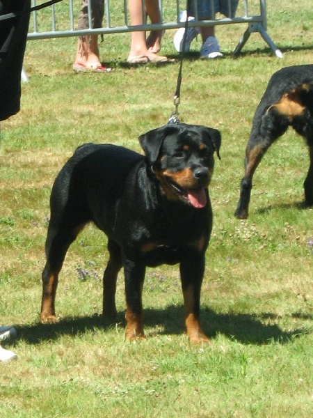 Brisca du domaine du grand saule - 3éme excellent