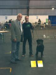 E'mogway vom Krieger Schwarzen - 1er excellent (classe travail) CACS CACIB