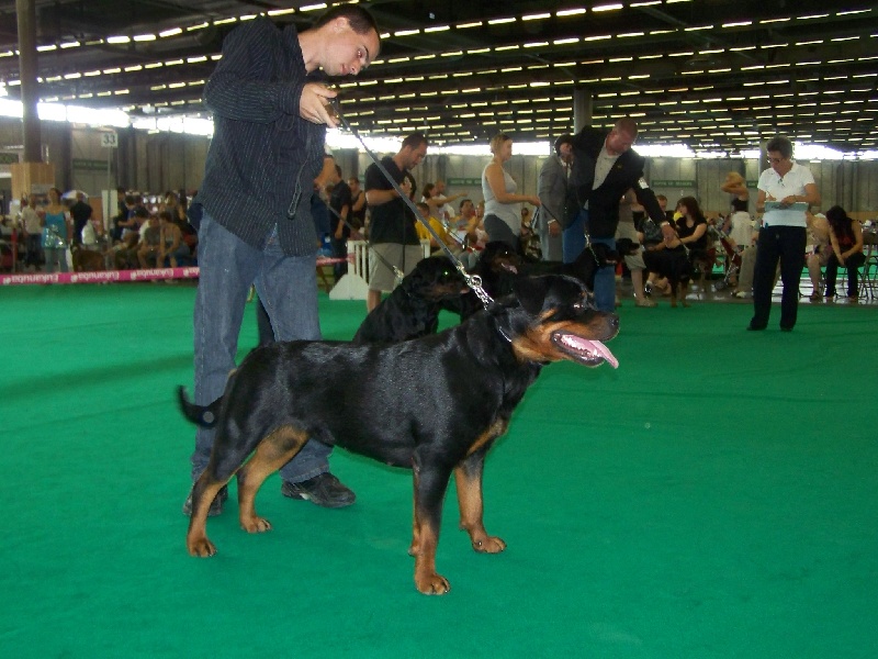 Ch.j. adita Od vadanora - 4eme excellent