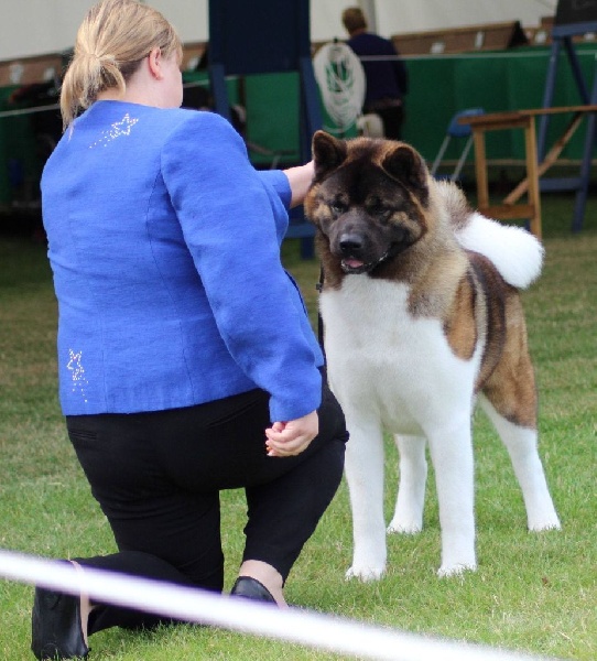 Publication : du Lac Brûlé