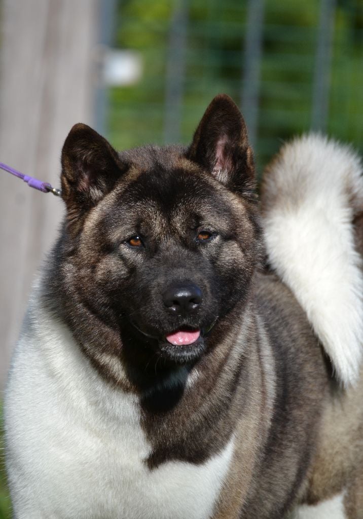 U talkin' to me du Lac Brûlé