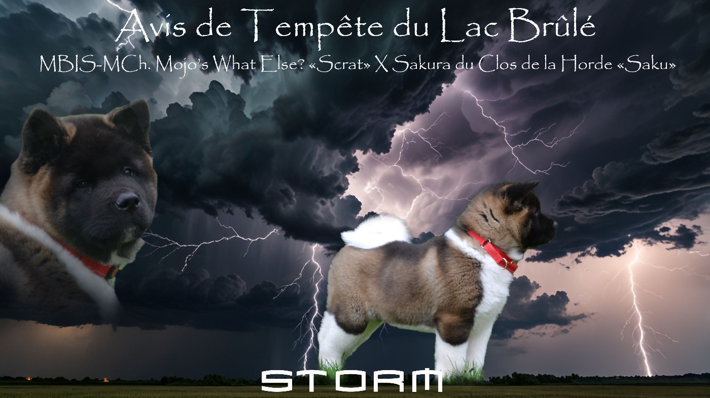 Avis de Tempête du Lac Brûlé