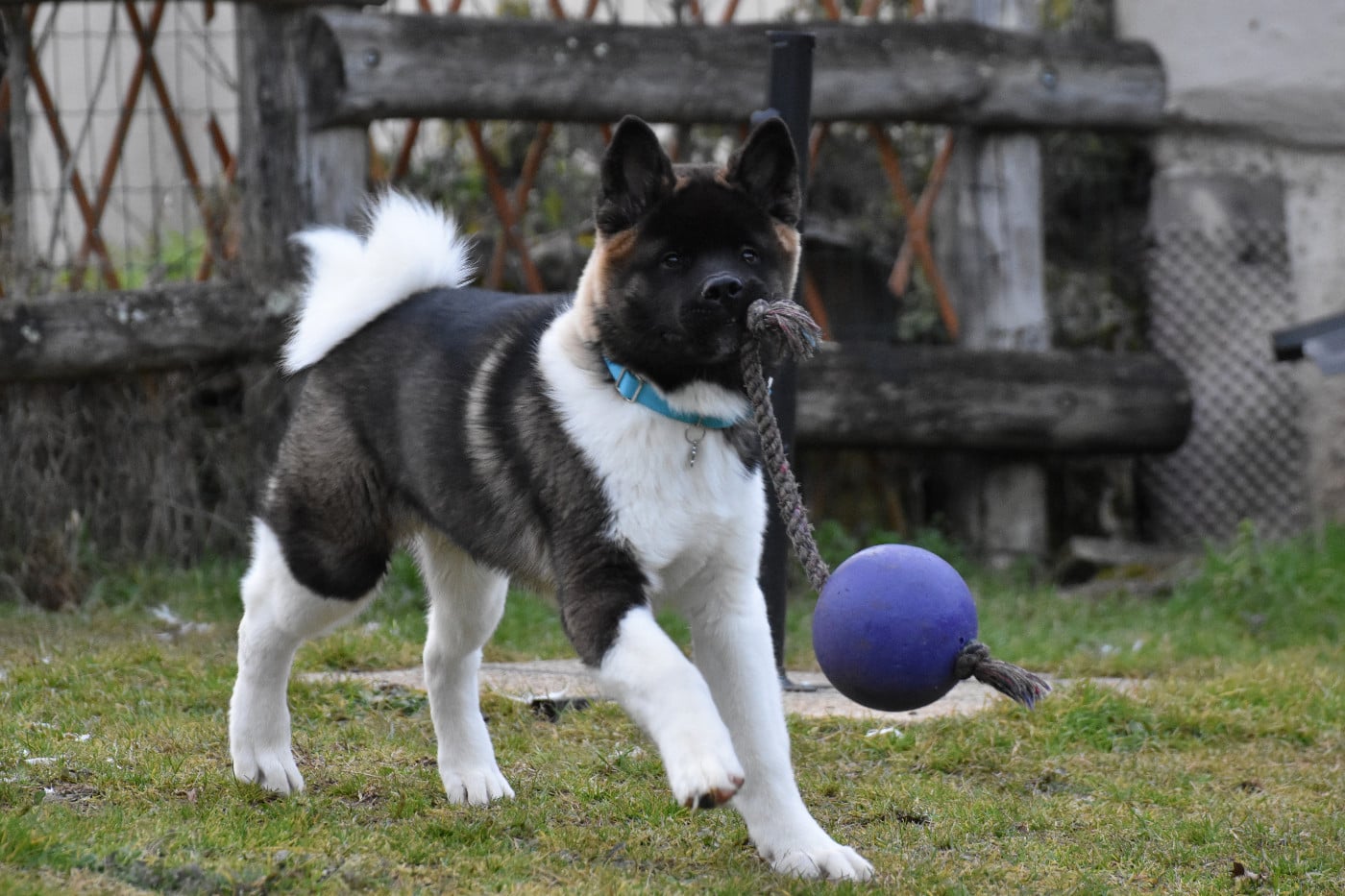 Avis de Tempête du Lac Brûlé