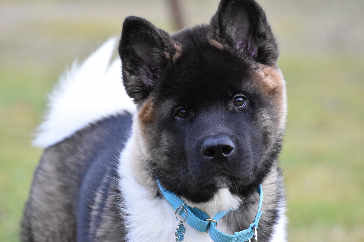 Avis de Tempête du Lac Brûlé