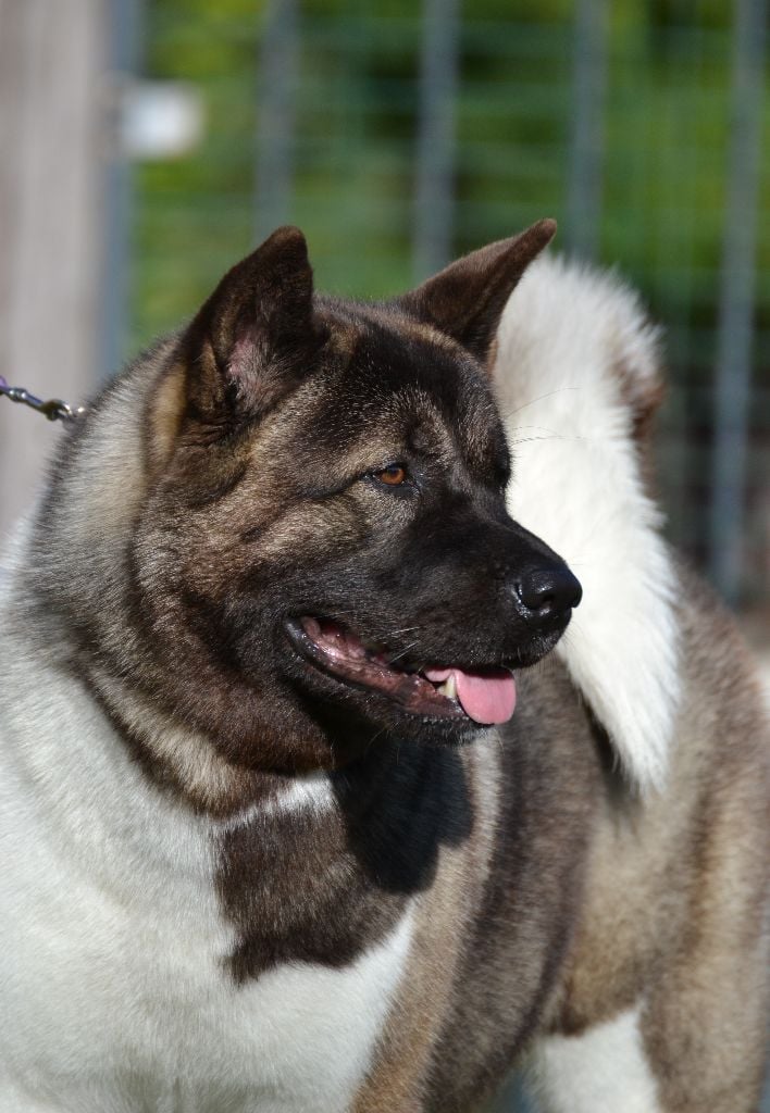 U talkin' to me du Lac Brûlé