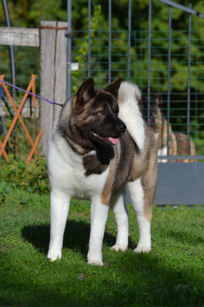 U talkin' to me du Lac Brûlé