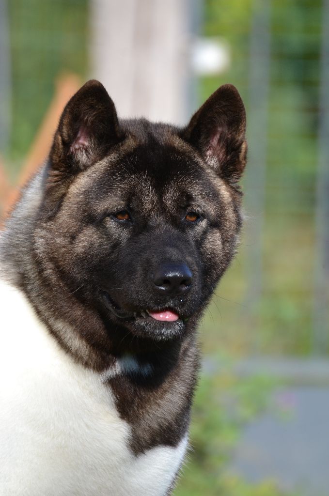 U talkin' to me du Lac Brûlé