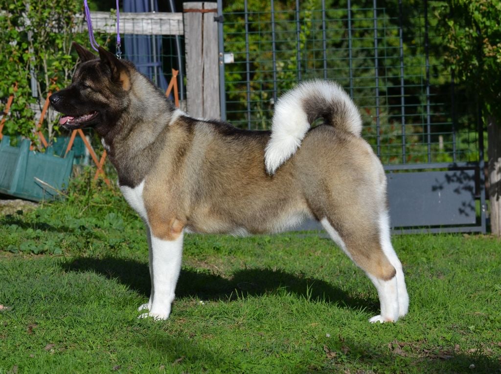 U talkin' to me du Lac Brûlé