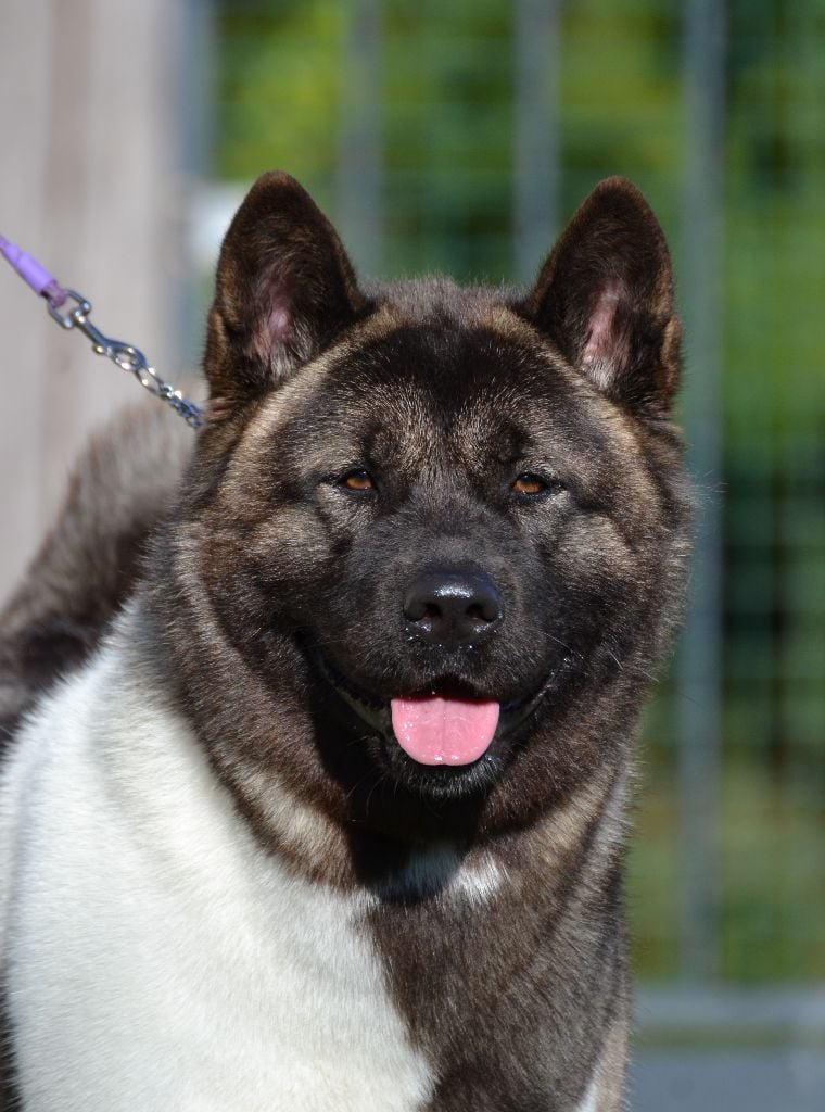 U talkin' to me du Lac Brûlé